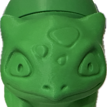 Flower Frog Gift Box (Green)